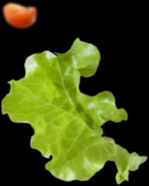 лист салату та помідор